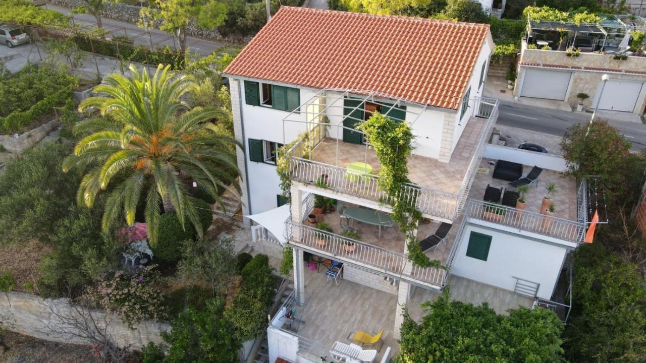 Palm Tree House * Slatine